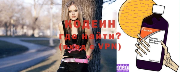 индика Беломорск