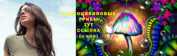 крисы Балабаново