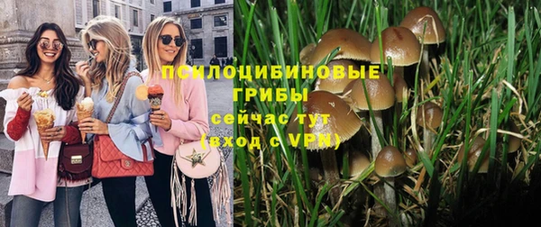 бутират Балахна