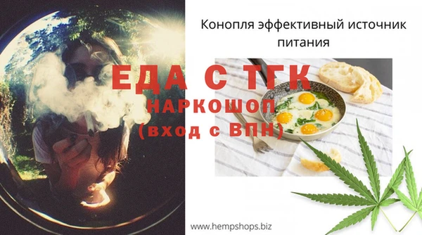 индика Беломорск