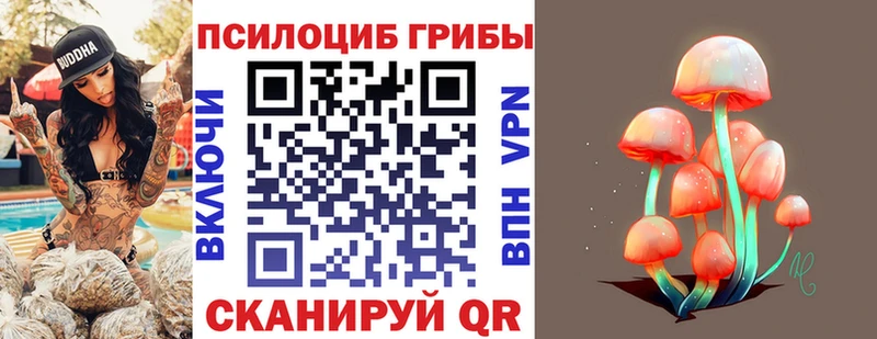 как найти закладки  Вельск  Псилоцибиновые грибы мухоморы 